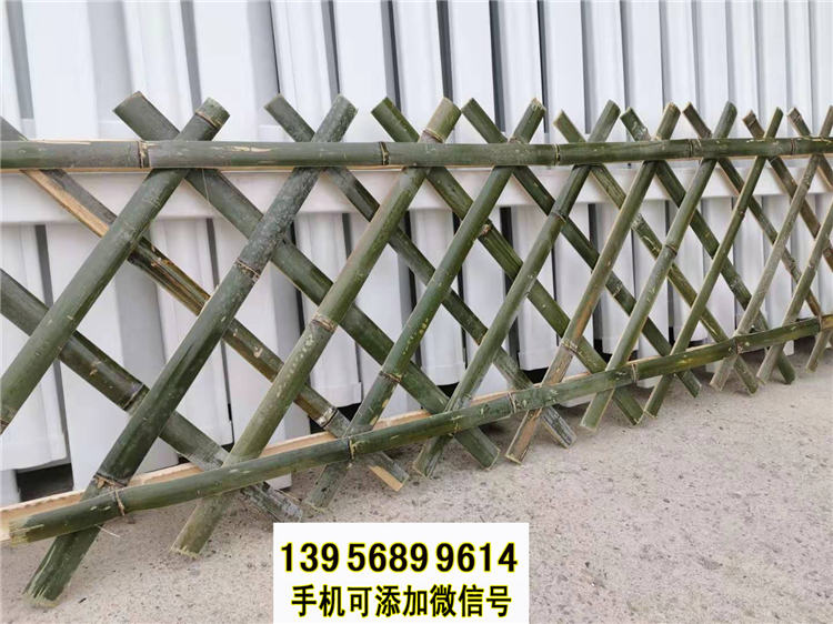 竹籬笆設(shè)計