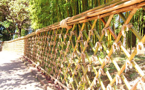 深圳龍崗大鵬濱海竹子籬笆竹柵欄庭院圍欄