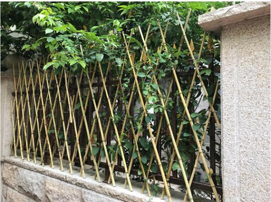 武康光明小區戶外竹籬笆柵欄欄桿