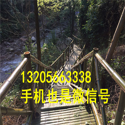 竹籬笆多少錢一米